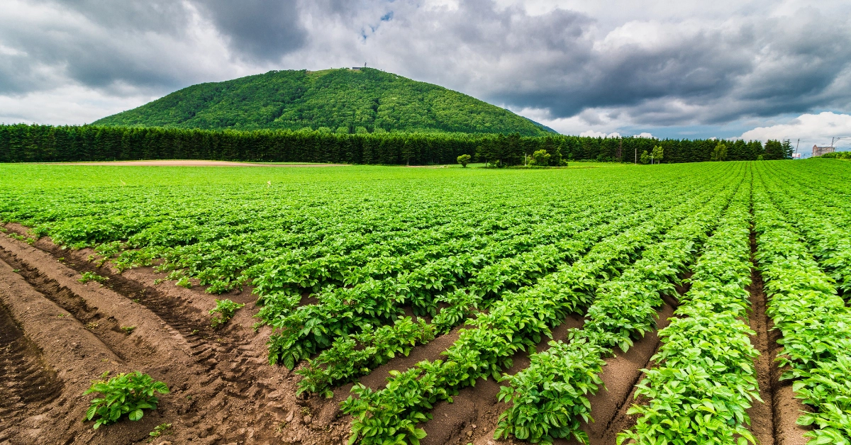 Agro i prirodni proizvodi